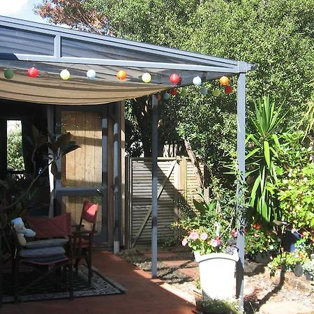 Kotuku Bed & Breakfast Whangamata Esterno foto